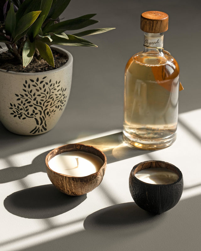 Coconut Shell Soy Wax Candles - Silken