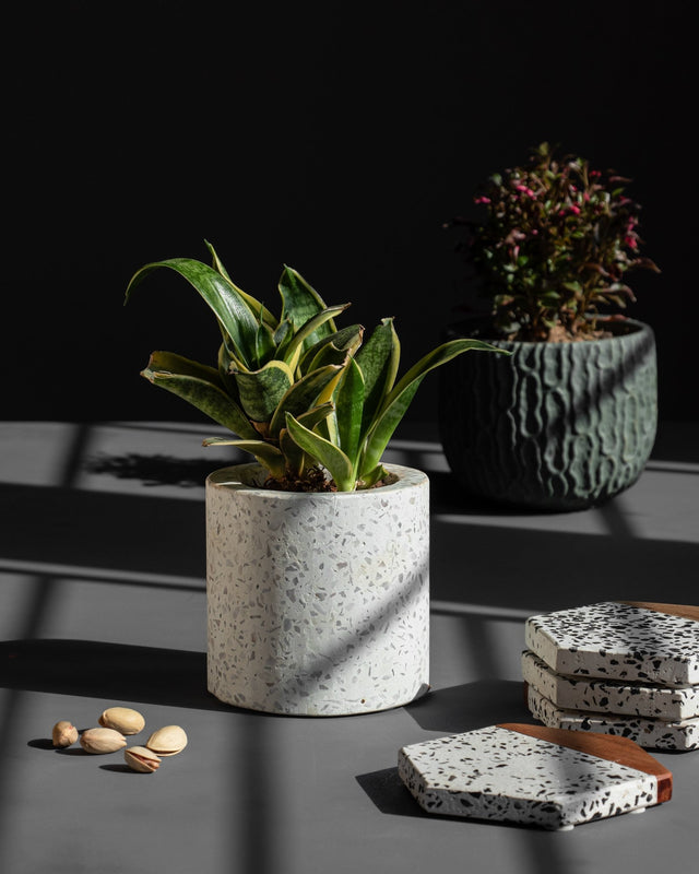 Terrazzo Planter Pot - Silken