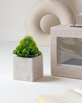 Marble Elegance Gift Set - Silken