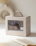 Soothing Green & Glow Set - Silken