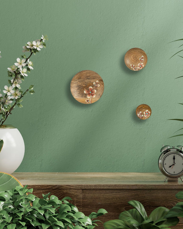 Mango Wood Hand-Painted Wall Hooks - Set of 3 - Silken