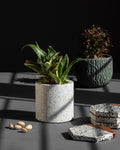 Terrazzo Planter Pot - Silken